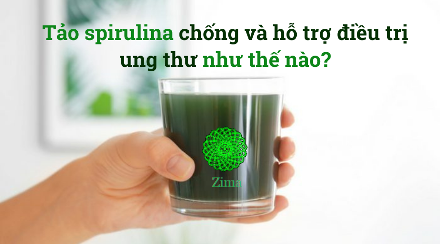 THỰC PHẨM CHỐNG UNG THƯ – TẢO XOẮN SPIRULINA ZIMA