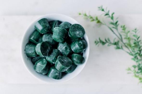 Tảo xoắn spirulina tươi được đông lạnh để giữ nguyên hàm lượng dịnh dưỡng