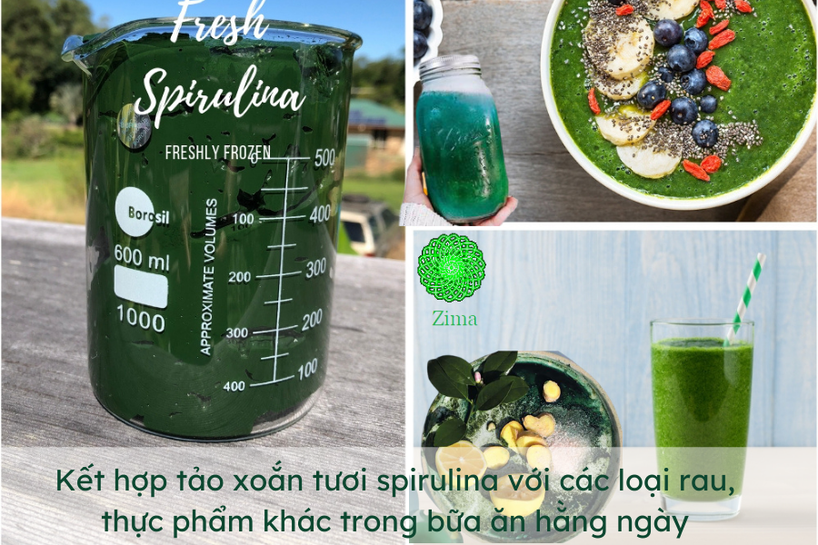 Sử dụng tảo xoắn spirulina tươi cùbg các loại rau/trái cây khác cho bữa ăn hàng ngày