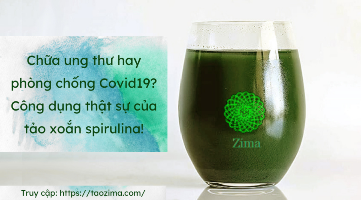 Công dụng y khoa tảo xoắn xanh spirulina zima