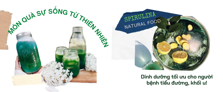 Kết hợp tảo spirulina ZIMA trong bữa ăn hàng ngày chống ung thư