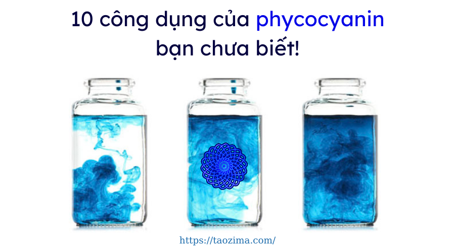 Chiết xuất tảo phycocyanin là gì và công dụng chăm sóc cho sức khỏe!