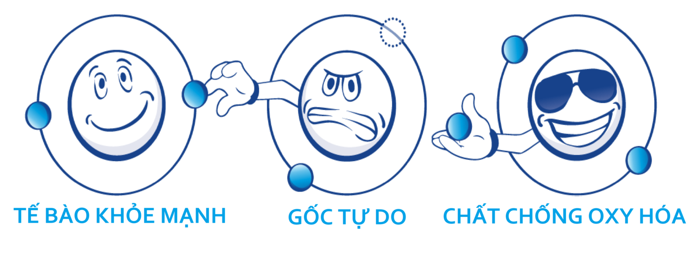 lợi ích của chất chống oxy hóa 