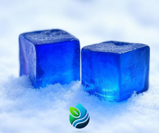 LIỆU TRÌNH SUPER DETOX  - Blu2 Viên Phycocyanin 500mg