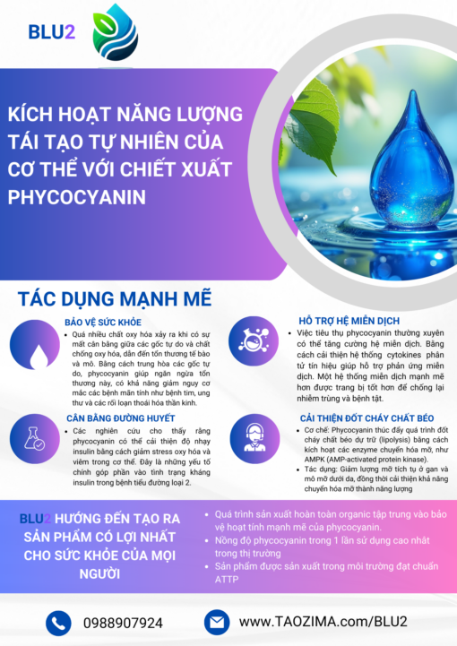 LIỆU TRÌNH SUPER DETOX  - Blu2 Viên Phycocyanin 500mg - Ảnh 4