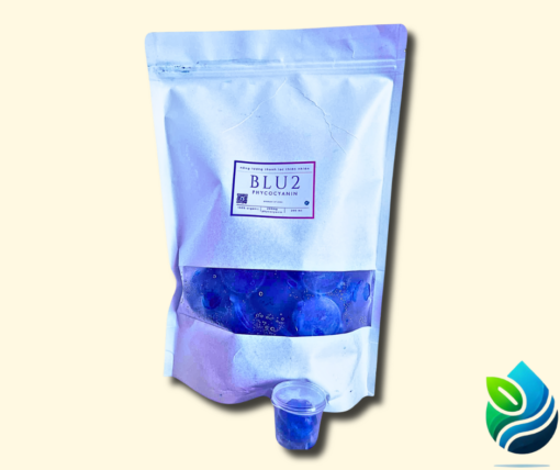 LIỆU TRÌNH SUPER DETOX  - Blu2 Viên Phycocyanin 500mg - Ảnh 2